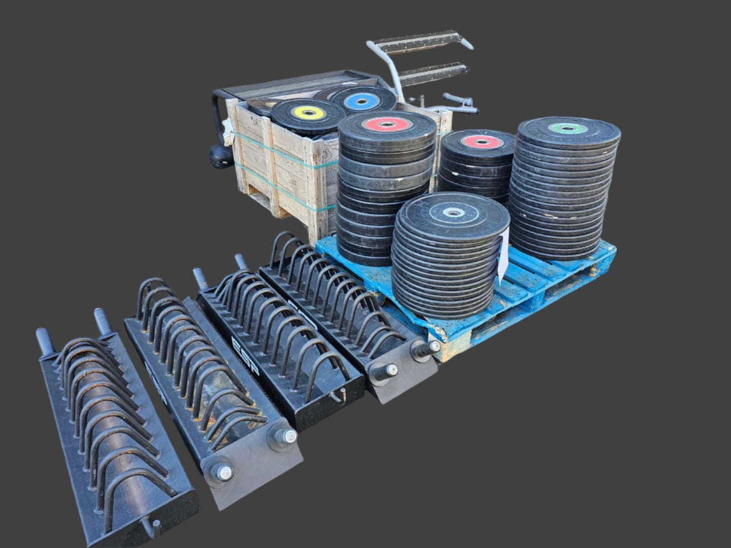 Technogym Bumper Competition Colour coded weight plates with Sandwich racks