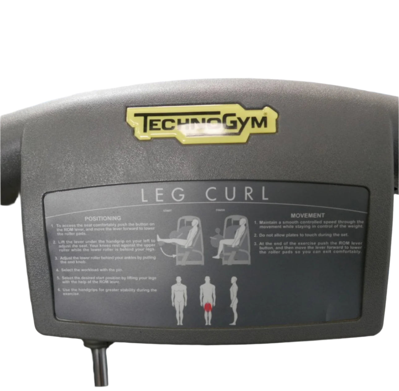 Technogym Selection Line Leg Curl