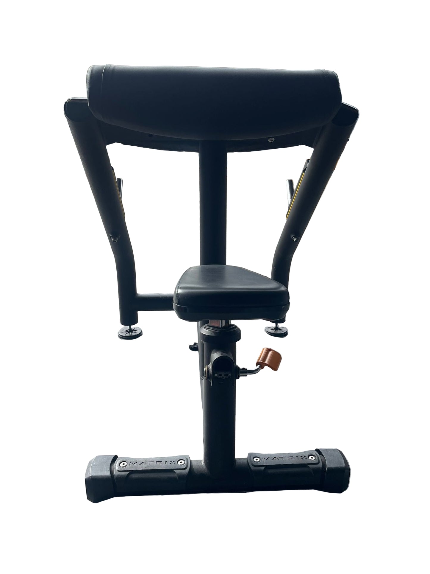 Matrix Magnum Preacher Curl