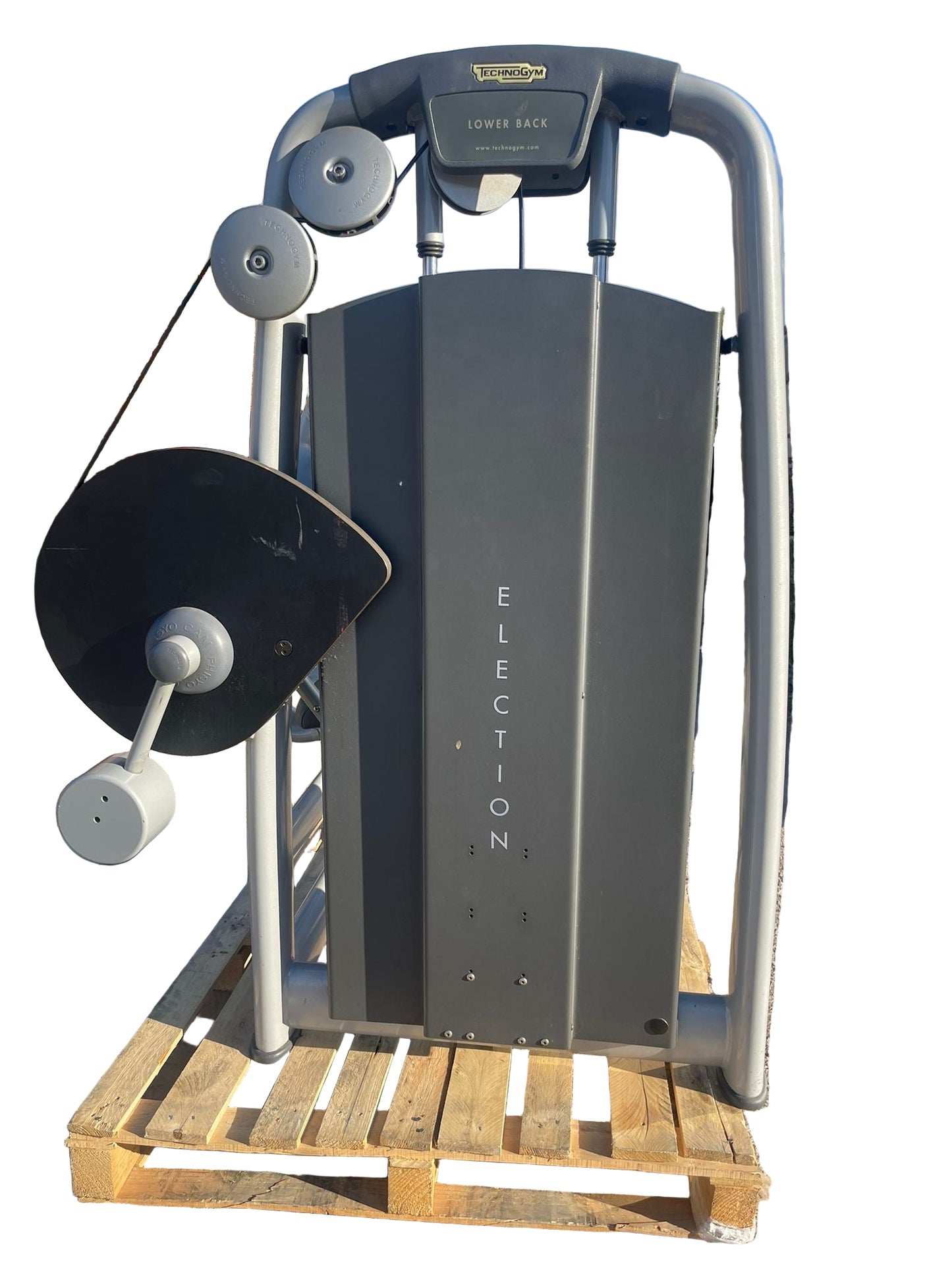 Technogym Selection Line Lower Back Machine