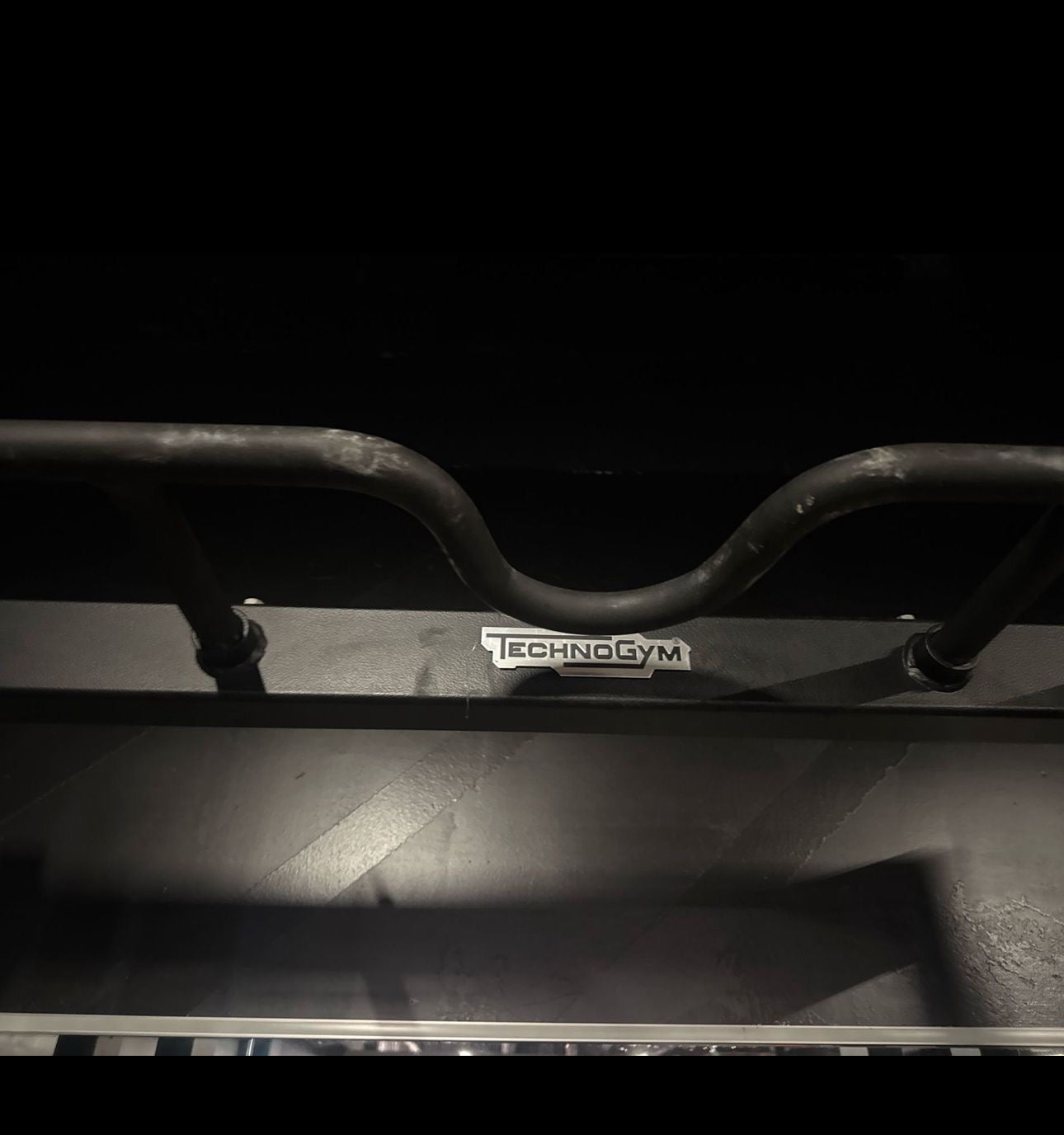 Technogym Olympic Half squat rack