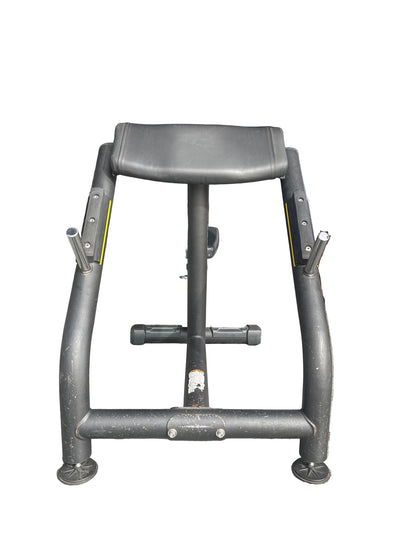 Matrix Magnum Preacher Curl