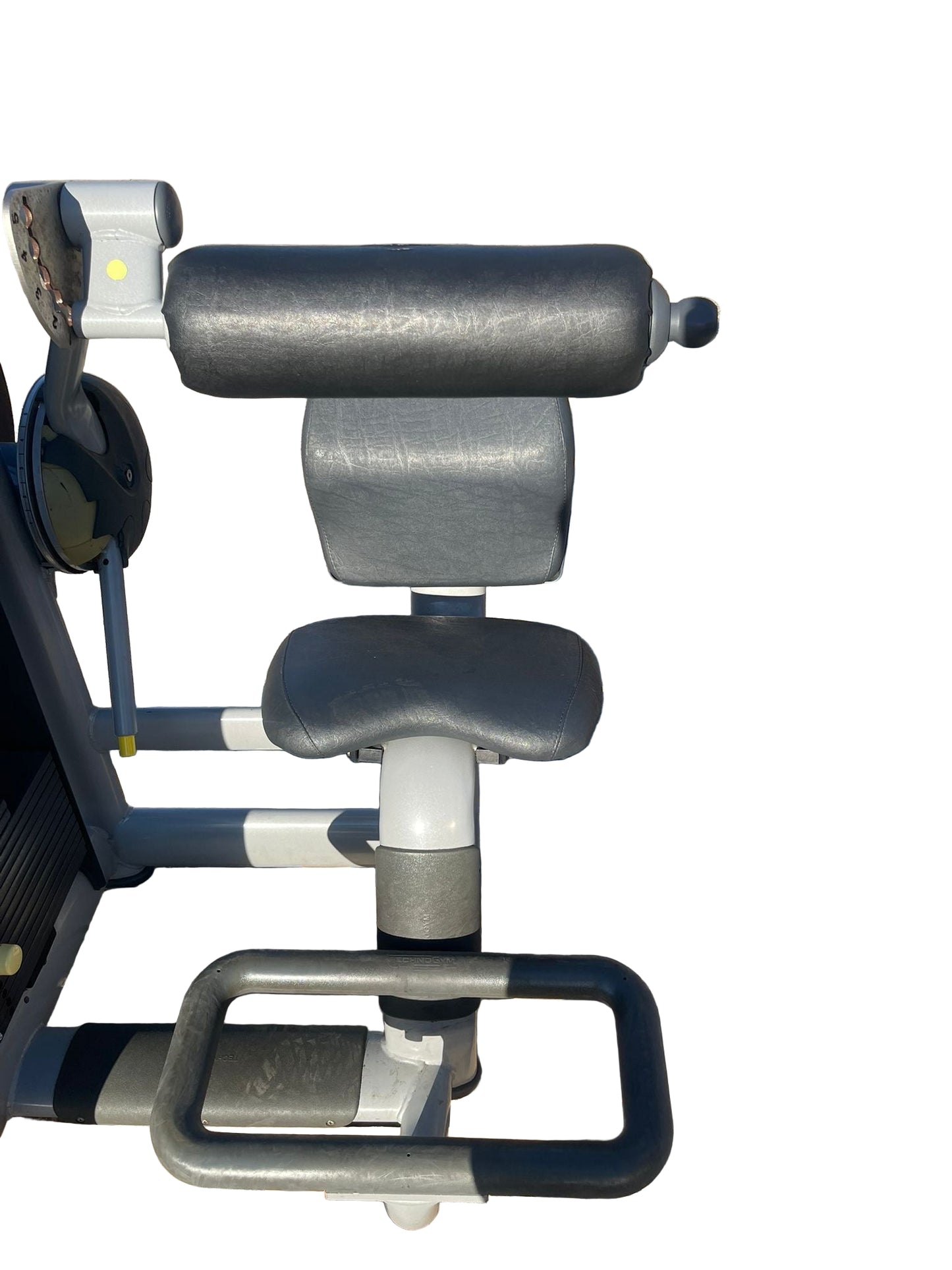 Technogym Selection Line Lower Back Machine