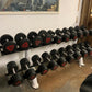 Ziva Polyurethane Dumbbells Set 16-50kgs with Racks