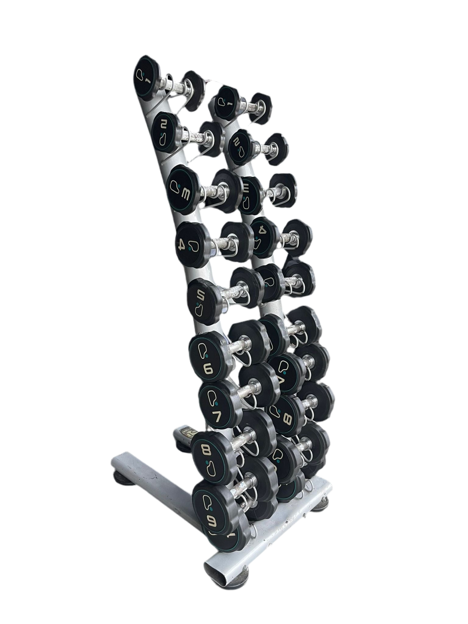 Jordon Pure Gym Dumbbells set 1-10kgs With Stand – My Fitness Junction