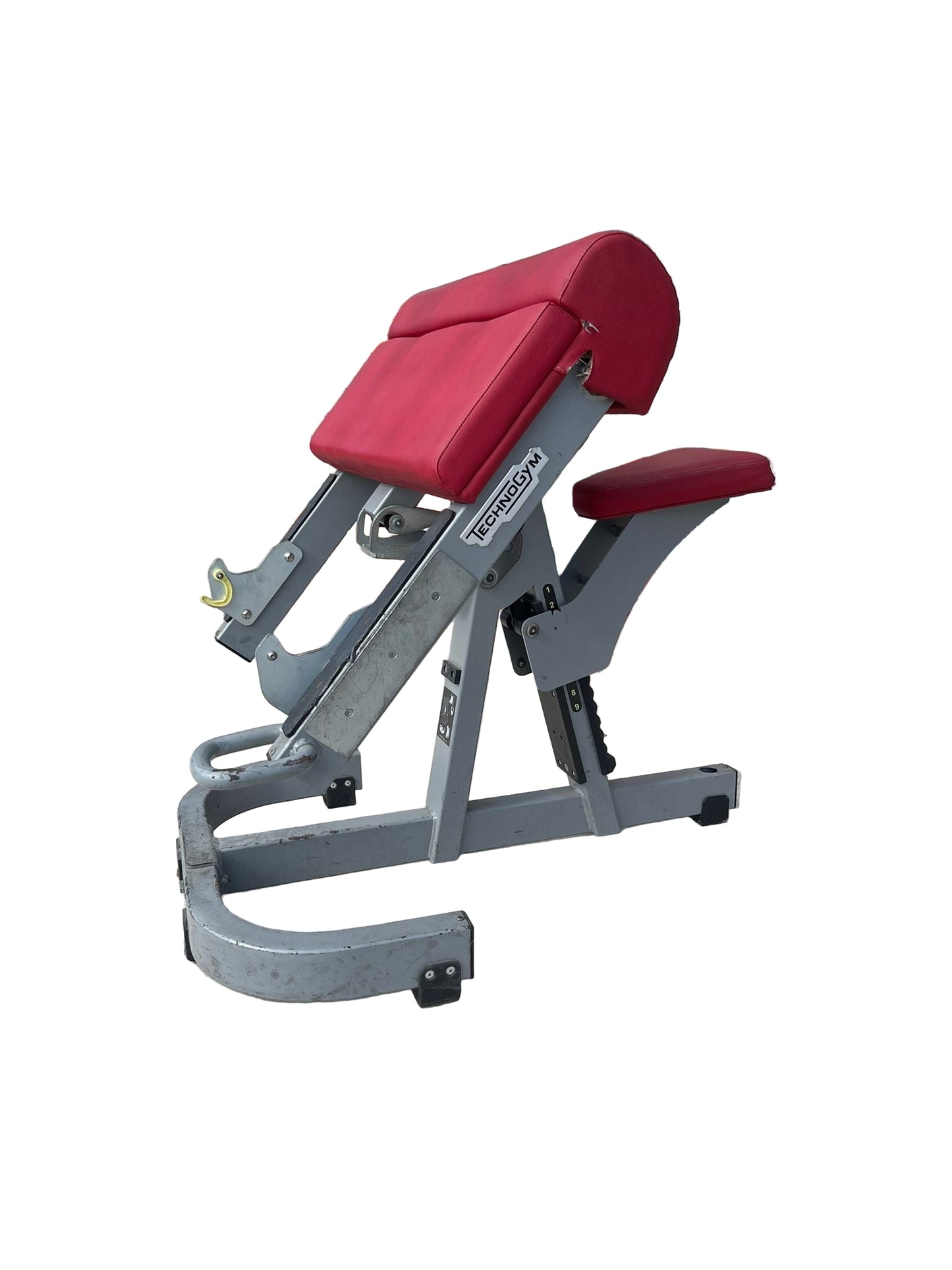 Technogym Preacher Curl /Bicep Curl Bench Commercial Gym Equipment