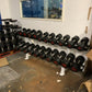 Ziva Polyurethane Dumbbells Set 16-50kgs with Racks