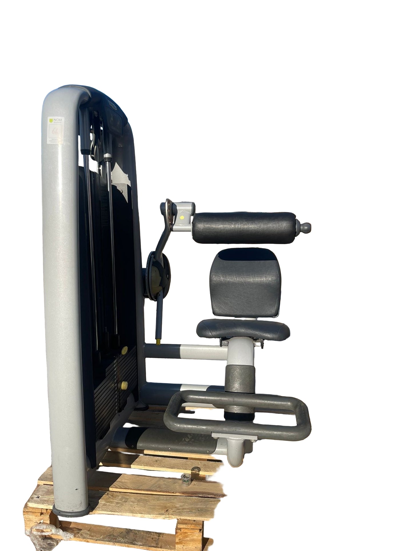 Technogym Selection Line Lower Back Machine