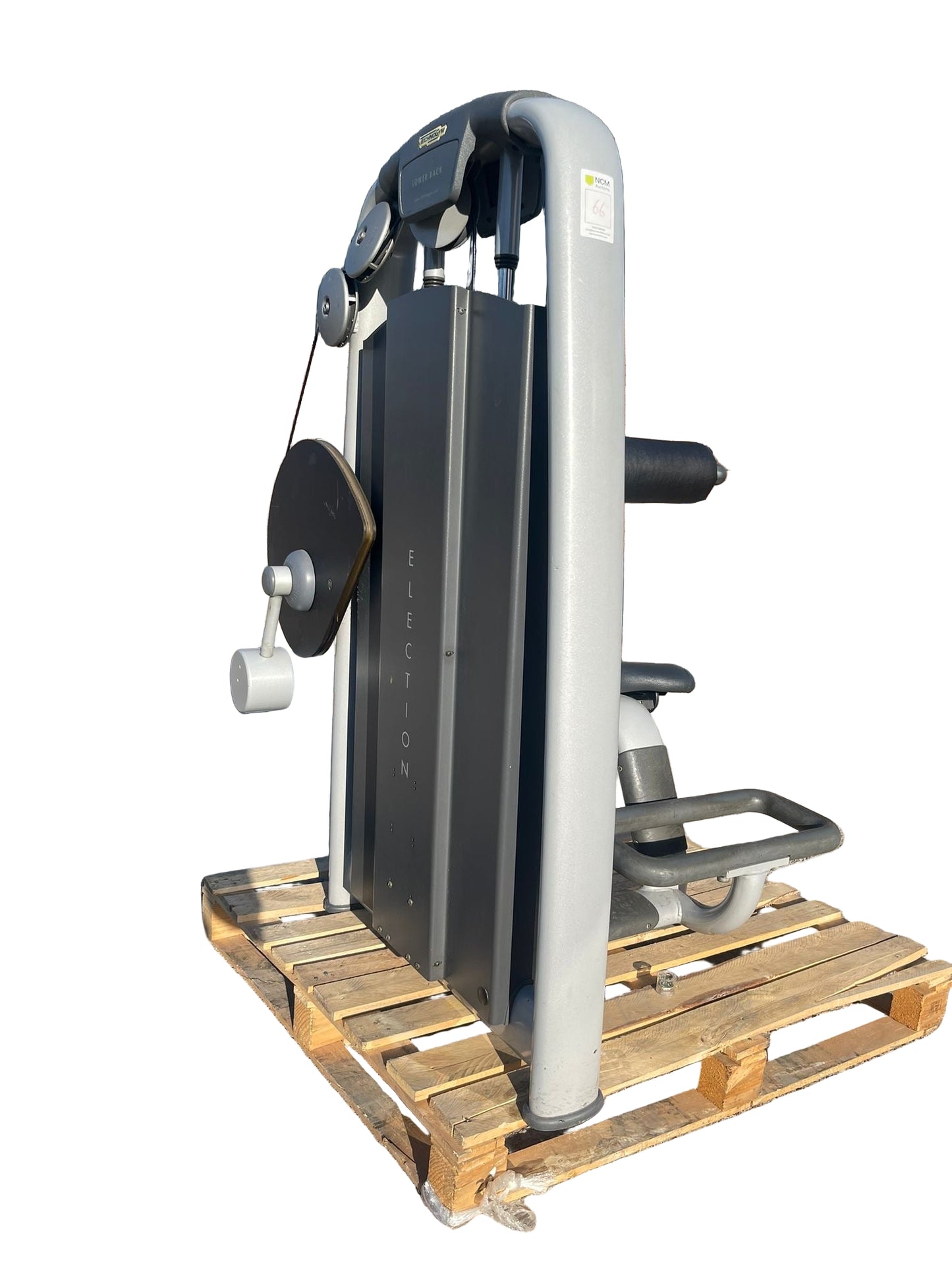 Technogym Selection Line Lower Back Machine