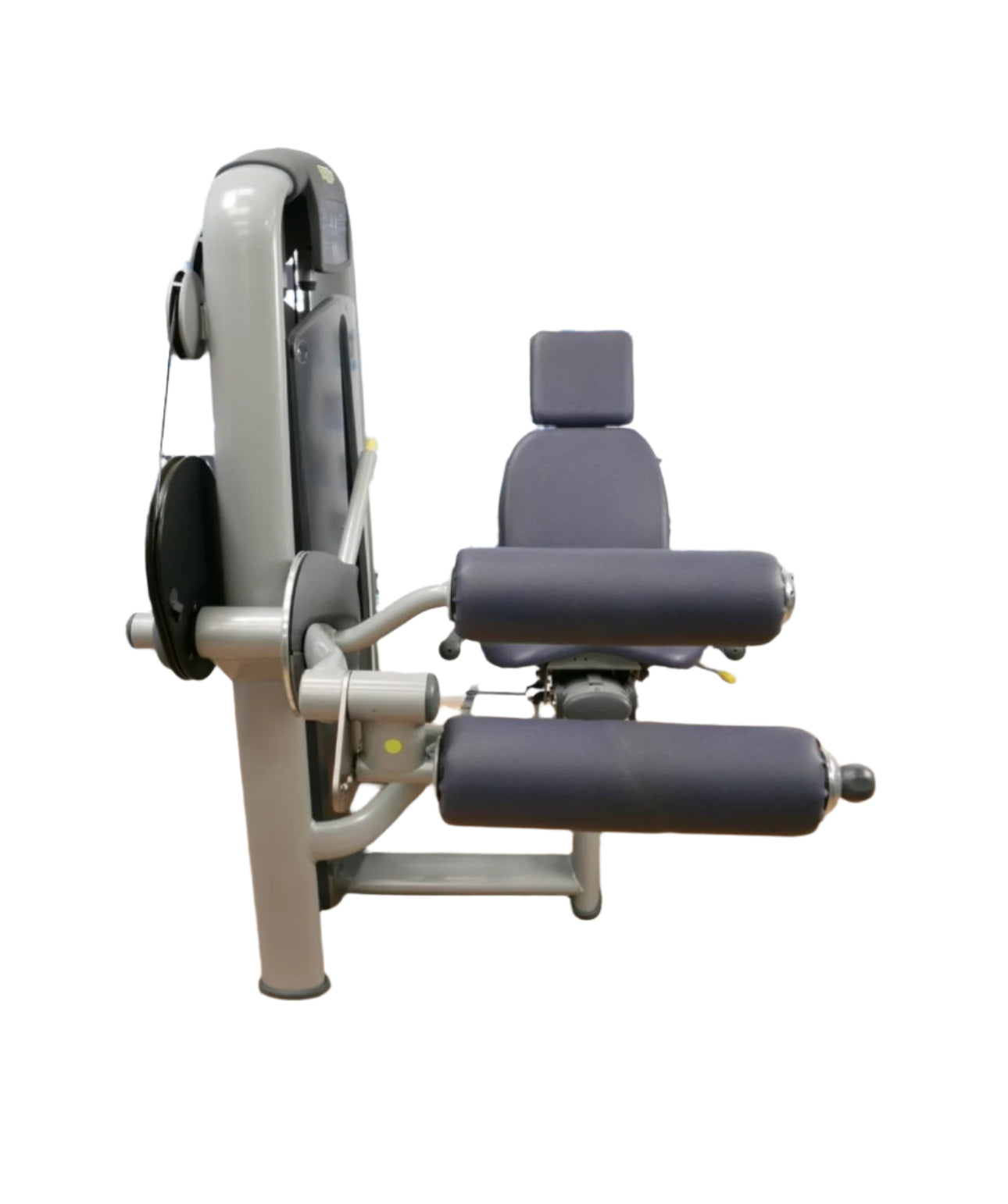 Technogym Selection Line Leg Curl