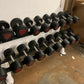 Ziva Polyurethane Dumbbells Set 16-50kgs with Racks