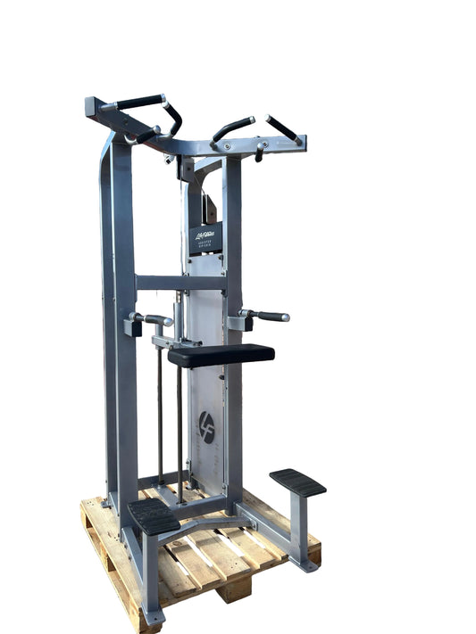 Life Fitness Pro2 Assisted Dip / Chin Machine