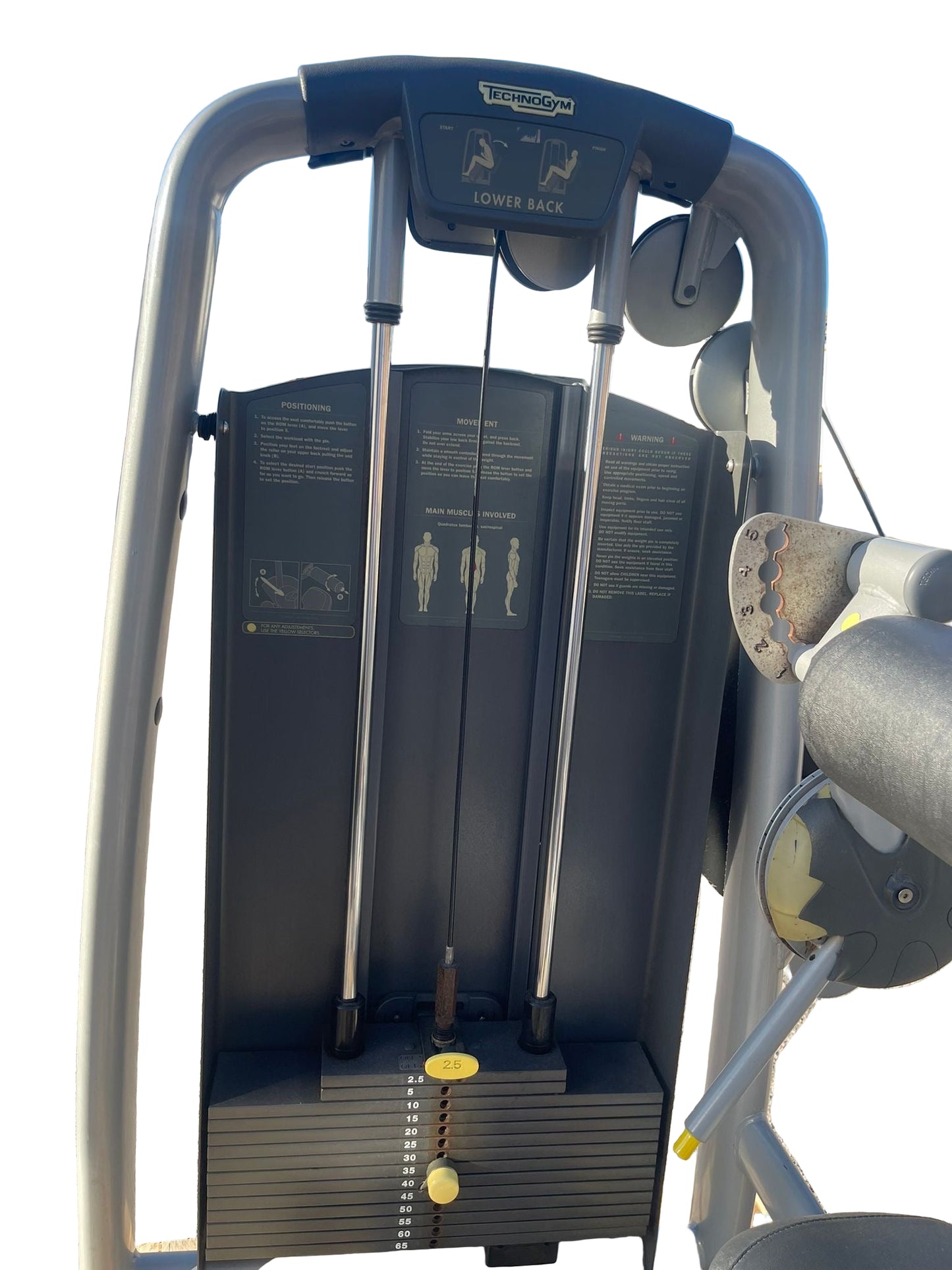 Technogym Selection Line Lower Back Machine