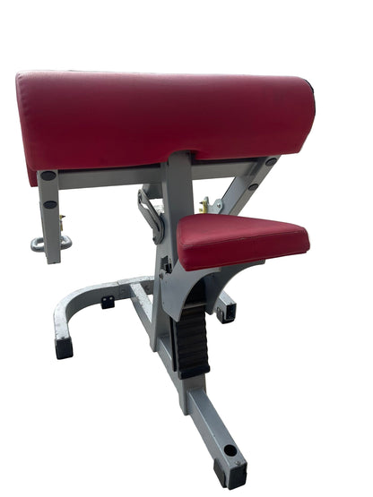 Technogym Preacher Curl /Bicep Curl Bench Commercial Gym Equipment