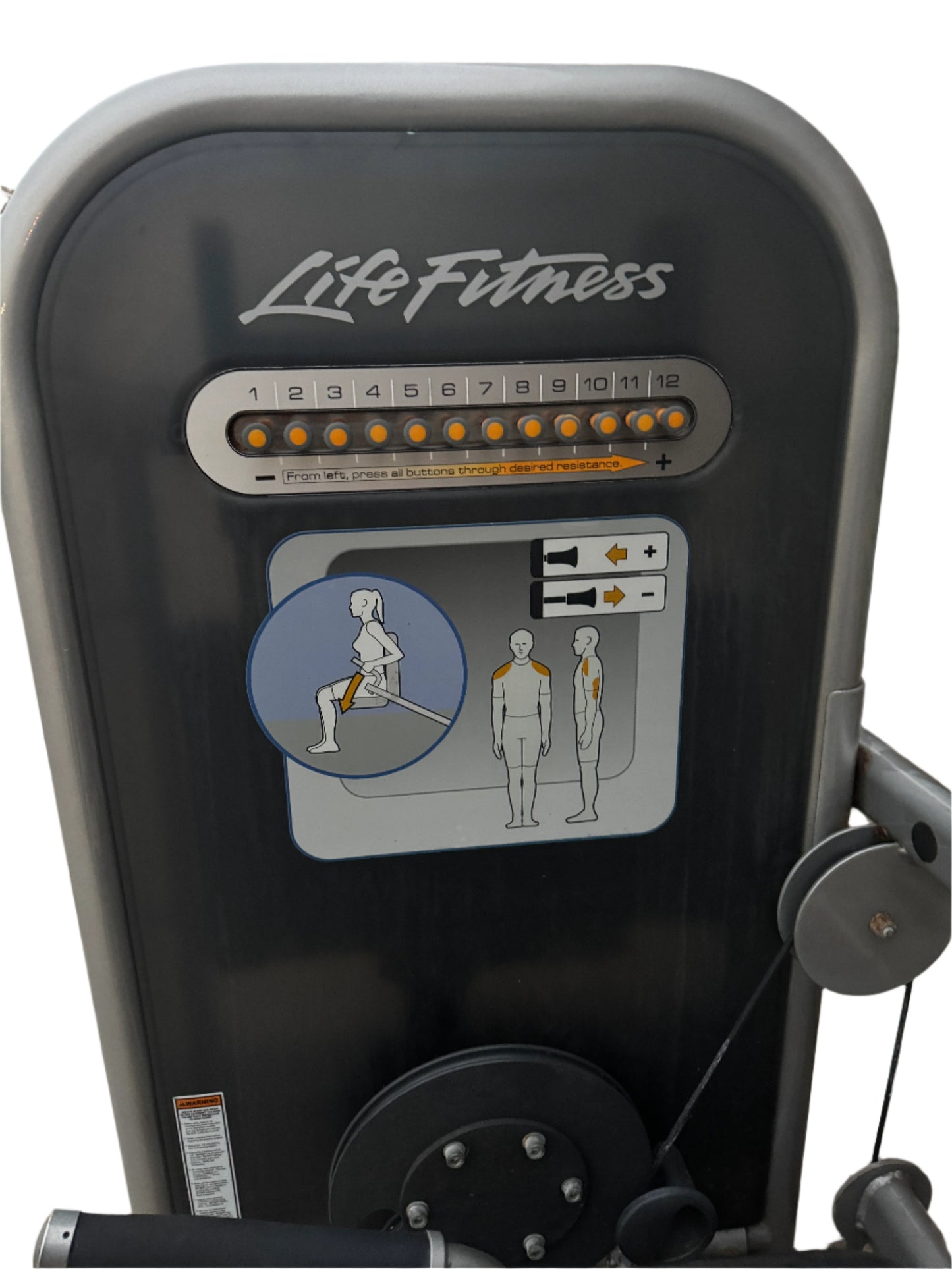 Life fitness Circuit Series Bicep Press