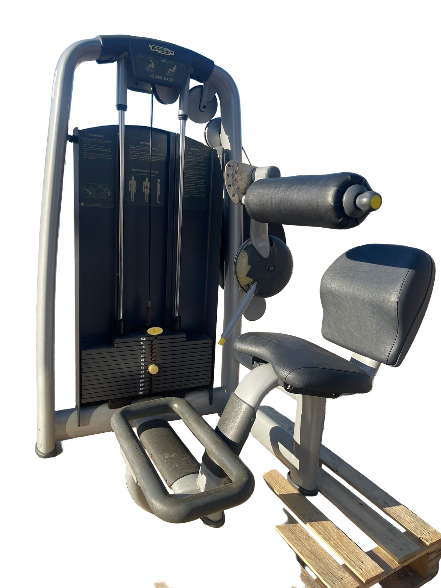 Technogym Selection Line Lower Back Machine