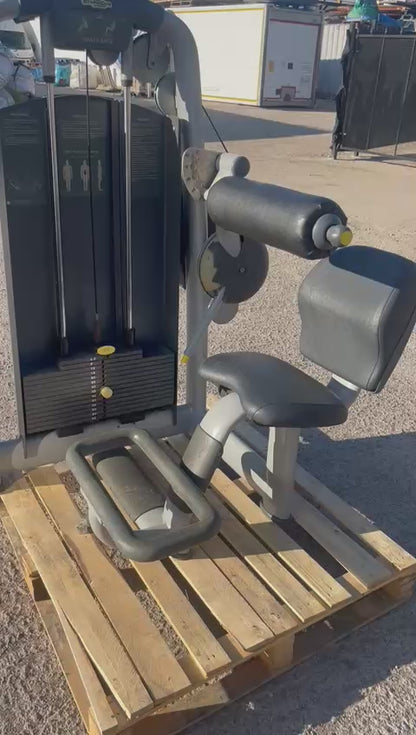 Technogym Selection Line Lower Back Machine